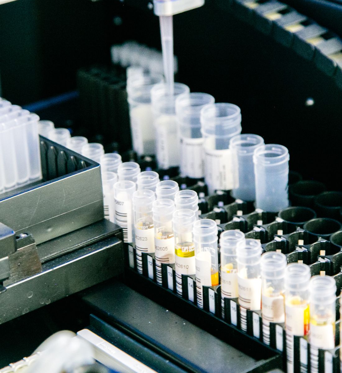 Pharmaceutical and Biotechnology